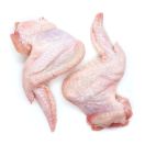 test Крило індика охолоджене - Фото 1