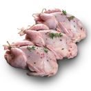 test Тушка перепілки охолоджена - Фото 1